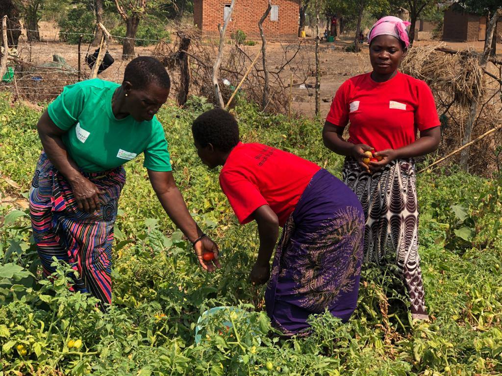 Home Gardens for Food and Income for Women